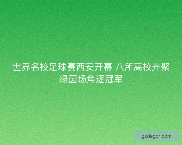 世界名校足球赛西安开幕 八所高校齐聚绿茵场角逐冠军